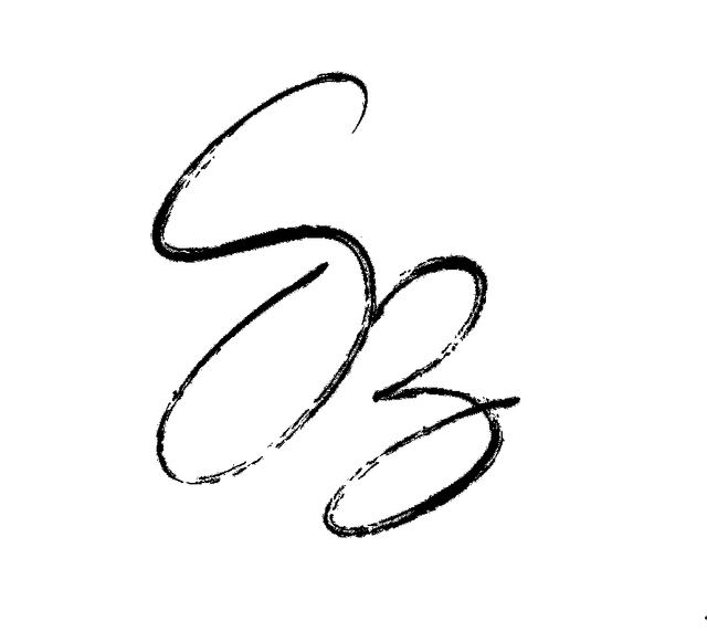 Sherif Zohri Studio logo